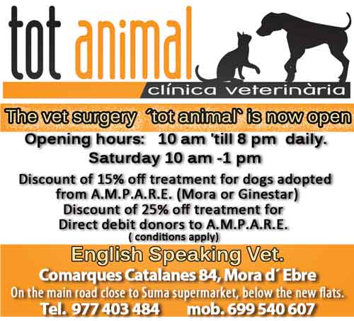 tot animal vet